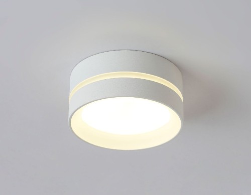 Накладной светильник Ambrella Light IP Protect TN5391 изображение в интернет-магазине Cramer Light фото 3