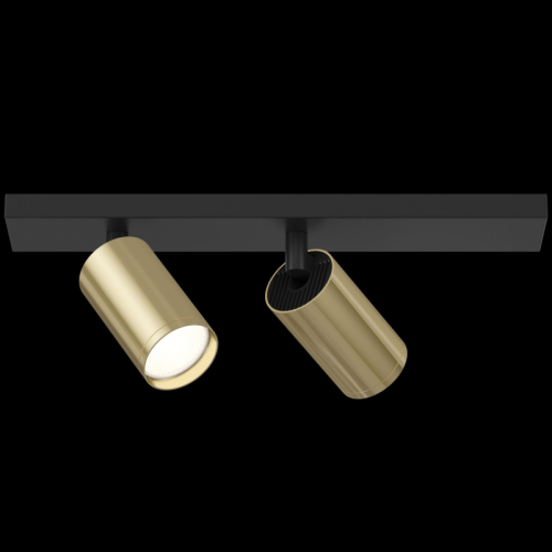 Спот Maytoni FOCUS S C051CL-02BG изображение в интернет-магазине Cramer Light