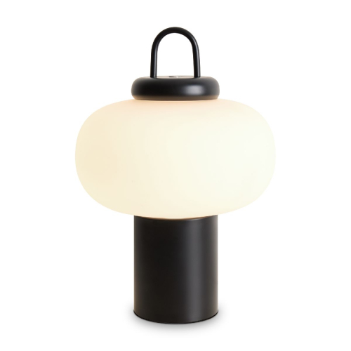 Настольная лампа Freya Take FR6175TL-L10B изображение в интернет-магазине Cramer Light