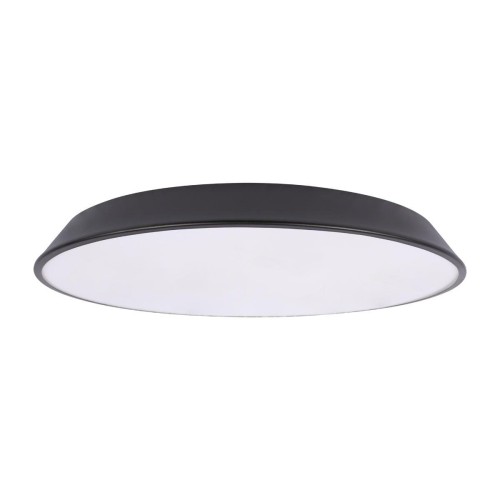 Потолочный светильник Loft IT Brim 10226 Black изображение в интернет-магазине Cramer Light