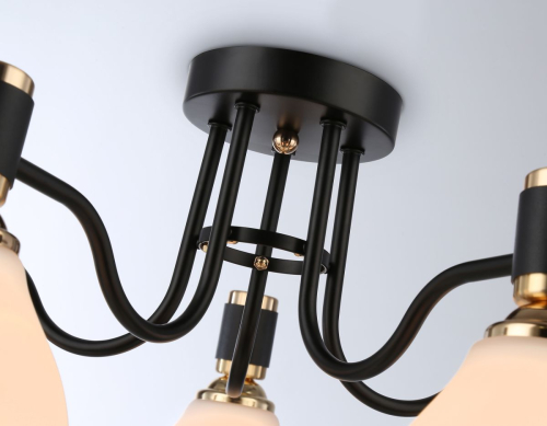 Потолочная люстра Ambrella Light Modern TR303307 изображение в интернет-магазине Cramer Light фото 5