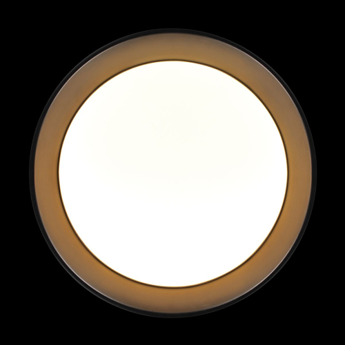 Потолочный светильник Loft IT Coin 10202 BB изображение в интернет-магазине Cramer Light фото 4