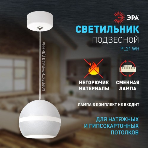 Подвесной светильник Эра PL21 WH Б0058504 изображение в интернет-магазине Cramer Light фото 9