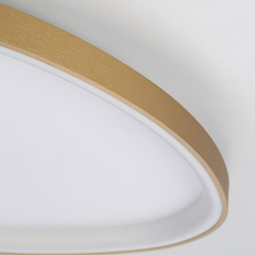 Потолочная люстра Citilux Genka Smart CL756A162 изображение в интернет-магазине Cramer Light фото 7
