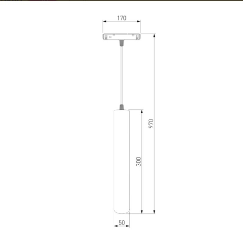 Трековый светильник Elektrostandard Slim Magnetic 4690389178863 изображение в интернет-магазине Cramer Light фото 3