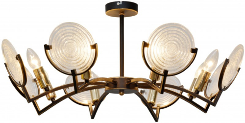 Потолочная люстра Toplight Roxana TL1194X-08BK изображение в интернет-магазине Cramer Light