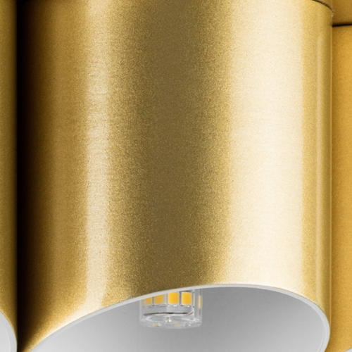 Потолочная люстра Lightstar Siena 720222 изображение в интернет-магазине Cramer Light фото 5