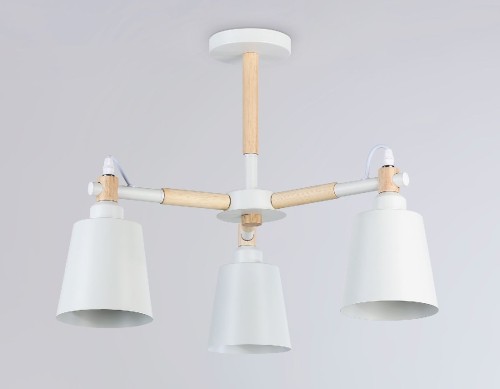 Люстра на штанге Ambrella Light Loft TR82204 изображение в интернет-магазине Cramer Light фото 3