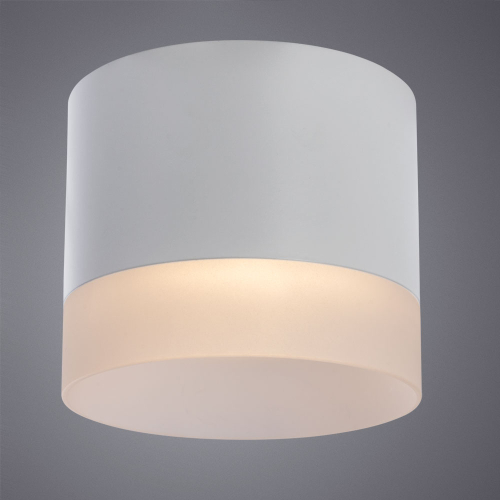 Потолочный светильник Arte Lamp Castor A5554PL-1WH изображение в интернет-магазине Cramer Light фото 4