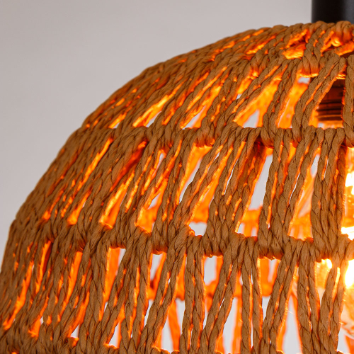 Подвесной светильник Arte Lamp Brushwood A7086SP-1BK изображение в интернет-магазине Cramer Light фото 3