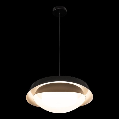 Подвесной светильник Loft IT Petale 10256P Black изображение в интернет-магазине Cramer Light фото 6