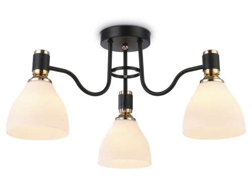 Потолочная люстра Ambrella Light Modern TR303303 изображение в интернет-магазине Cramer Light