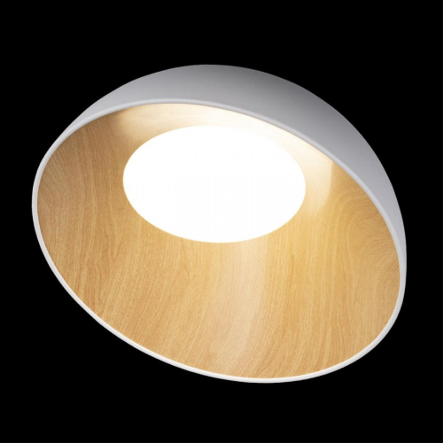 Потолочный светильник Loft IT Egg 10197/500 White изображение в интернет-магазине Cramer Light фото 4