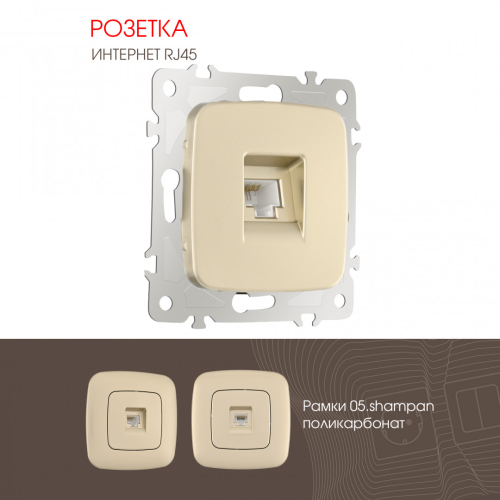 Розетка RJ45 Arte Milano 205.45-1.shampan дополнительное фото