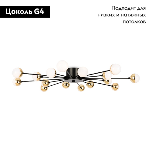 Потолочная люстра Freya Celebrity FR5242CL-16B изображение в интернет-магазине Cramer Light фото 2