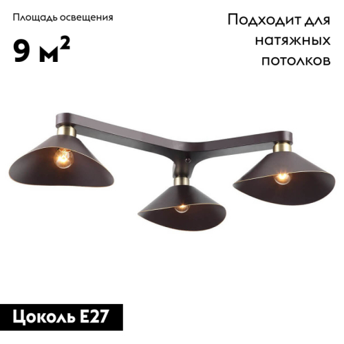 Потолочная люстра Lussole Loft LSP-9534 изображение в интернет-магазине Cramer Light фото 2