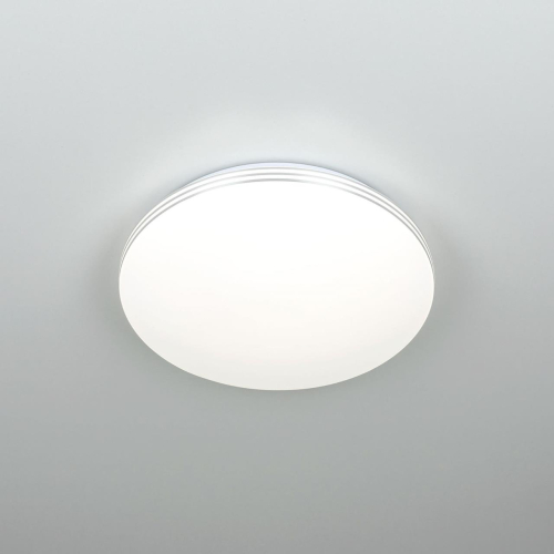 Потолочный светильник Citilux Симпла CL71424SV изображение в интернет-магазине Cramer Light фото 5