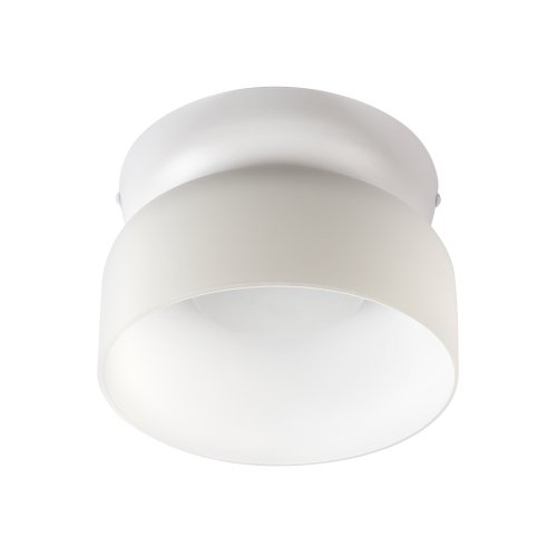 Потолочный светильник LOFT IT Totem 10466 Milky white изображение в интернет-магазине Cramer Light