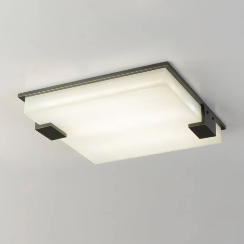 Потолочный светильник Delight Collection 8212C/500 black/white изображение в интернет-магазине Cramer Light фото 3
