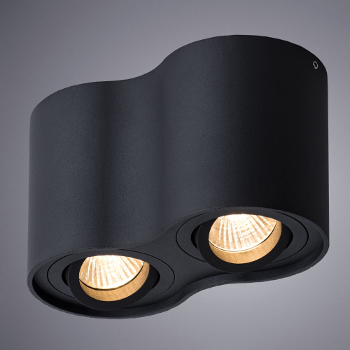 Потолочный светильник Arte Lamp Falcon A5645PL-2BK изображение в интернет-магазине Cramer Light фото 4