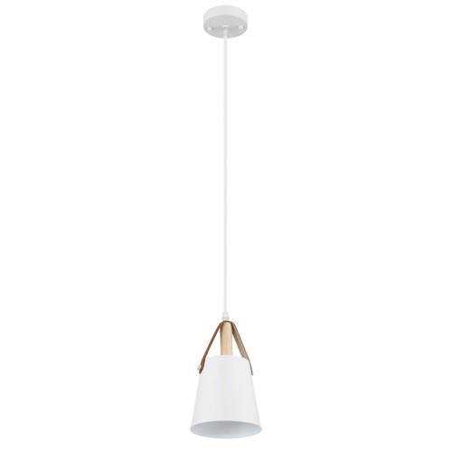 Подвесной светильник Arte Lamp Thomas A7032SP-1WH изображение в интернет-магазине Cramer Light