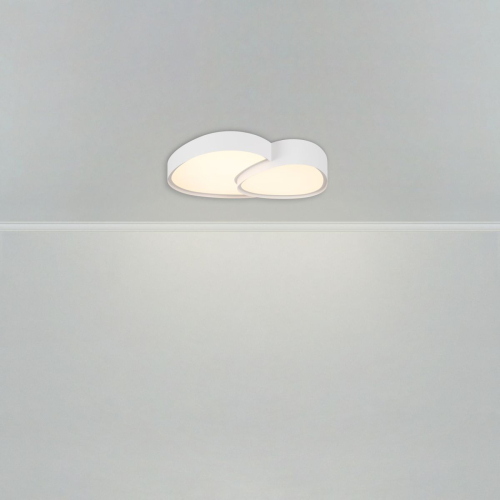 Потолочный светильник Freya Modesty FR6079CL-L72W изображение в интернет-магазине Cramer Light фото 5