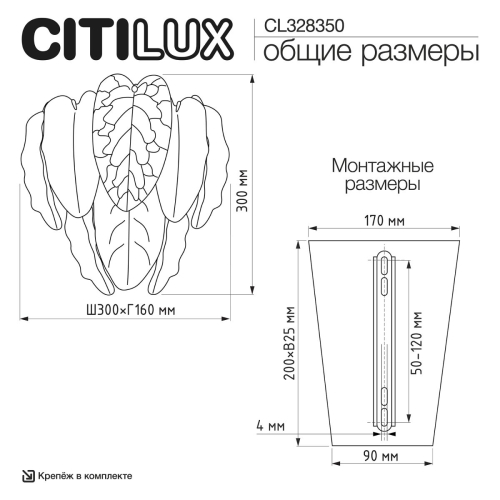 Настенный светильник Citilux Hasienda CL328350 изображение в интернет-магазине Cramer Light фото 15