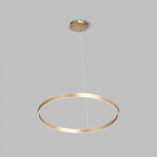 Подвесной светильник Denkirs Raydia DK6272-SG изображение в интернет-магазине Cramer Light фото 2