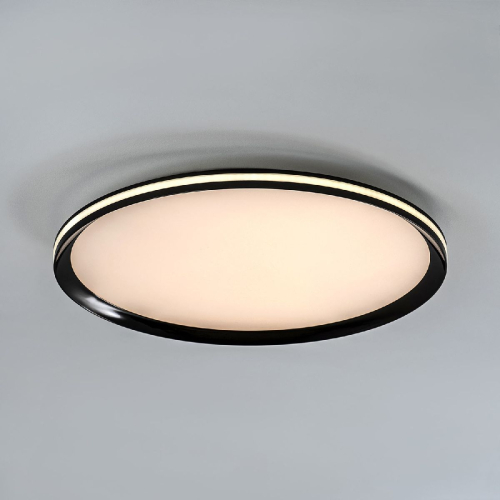 Потолочный светильник LED4U L3020-500 BK изображение в интернет-магазине Cramer Light фото 2