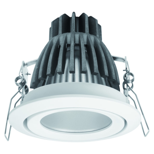Карданный светильник Kanlux Dago Power Led DLP-10 8900 изображение в интернет-магазине Cramer Light