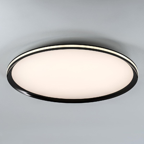 Потолочный светильник LED4U L3020-600 BK изображение в интернет-магазине Cramer Light фото 3