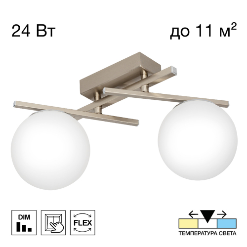 Потолочный светильник Citilux Dorsy CL223121 изображение в интернет-магазине Cramer Light