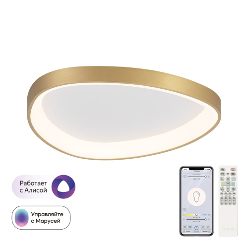 Потолочная люстра Citilux Genka Smart CL756A142 изображение в интернет-магазине Cramer Light
