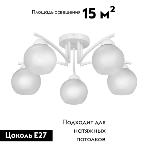 Потолочная люстра Vitaluce V4285-0/5PL изображение в интернет-магазине Cramer Light фото 2