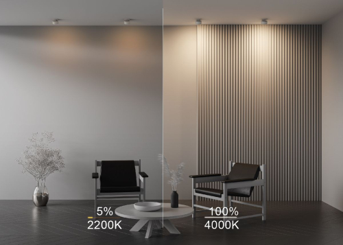 Встраиваемый светильник Maytoni Onda DL024-12W-DTW-W изображение в интернет-магазине Cramer Light фото 11