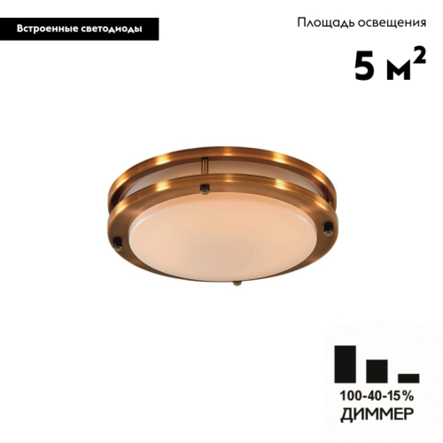 Настенно-потолочный светильник Citilux Бостон CL709203N изображение в интернет-магазине Cramer Light фото 2
