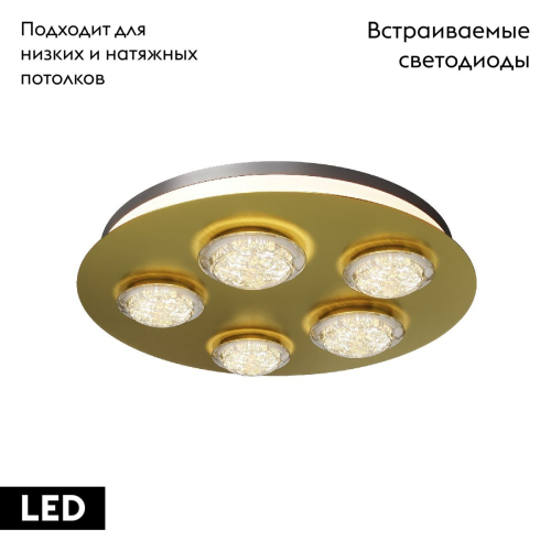 Потолочная люстра Maytoni Pharao MOD361CL-L58BS3K изображение в интернет-магазине Cramer Light фото 2