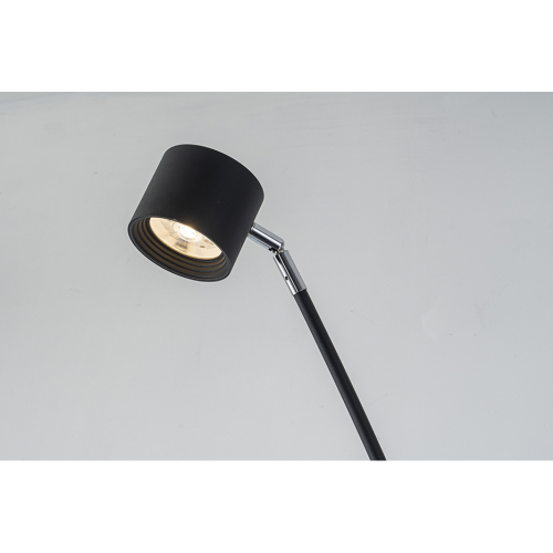 Торшер iLedex Tango 3082F-1 BK изображение в интернет-магазине Cramer Light фото 3