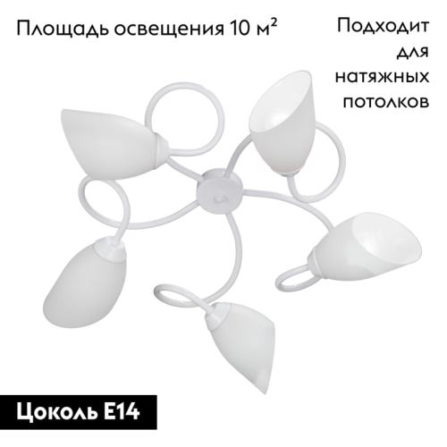 Потолочная люстра Vitaluce V3396/5PL изображение в интернет-магазине Cramer Light фото 2