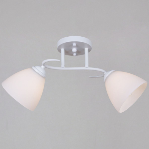 Потолочный светильник Reluce 44560-0.3-02 WH изображение в интернет-магазине Cramer Light