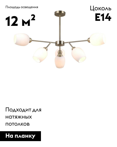 Люстра на штанге Moderli Cassy V10820-6C изображение в интернет-магазине Cramer Light фото 2