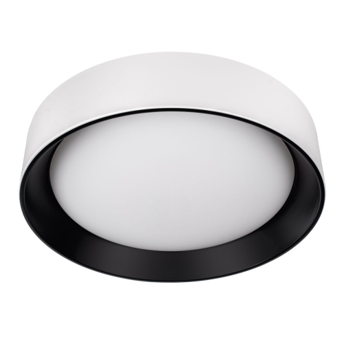 Потолочный светильник Loft IT Coin 10202 WB изображение в интернет-магазине Cramer Light