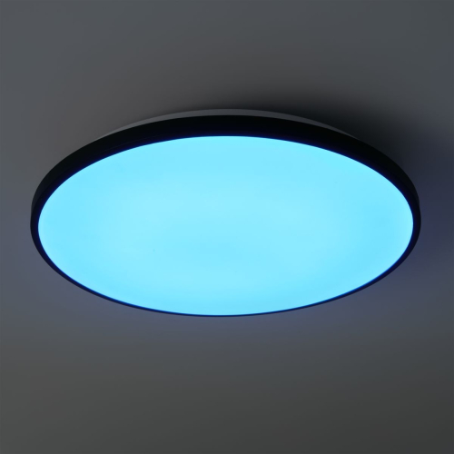 Потолочный светильник Freya Obelle FR6211CL-L24B изображение в интернет-магазине Cramer Light фото 11