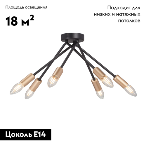 Потолочная люстра Vitaluce V3021-1/6PL изображение в интернет-магазине Cramer Light фото 2