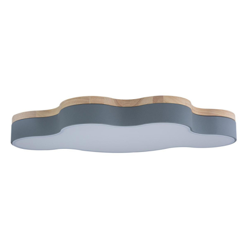 Потолочный светильник Loft IT AXEL 10005/36 Grey изображение в интернет-магазине Cramer Light