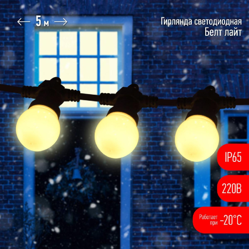 Уличная гирлянда ЭРА ERABL-WS5 Б0047952 дополнительное фото фото 4