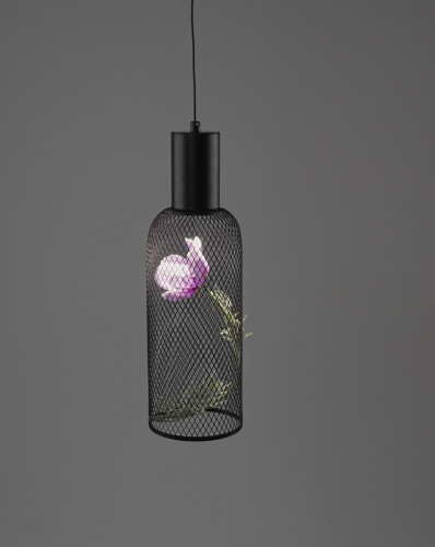 Подвесной светильник Moderli Ophelia V11873-PL изображение в интернет-магазине Cramer Light фото 5