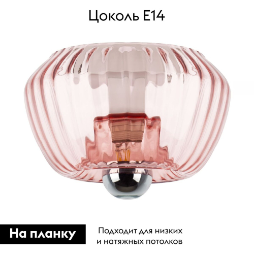 Потолочный светильник Lightstar Celesta 809002 изображение в интернет-магазине Cramer Light фото 2