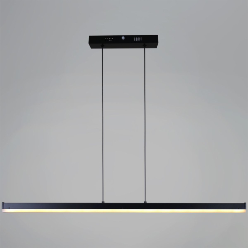 Подвесной светильник Reluce 13602-0.4-01 BK изображение в интернет-магазине Cramer Light фото 3