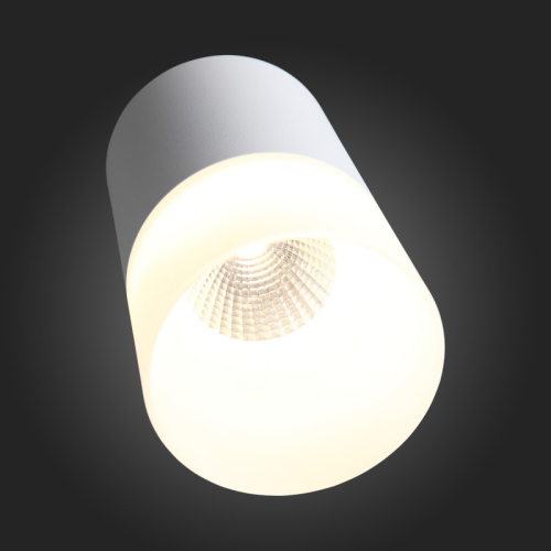 Накладной светильник ST Luce ST100.502.15 изображение в интернет-магазине Cramer Light фото 5